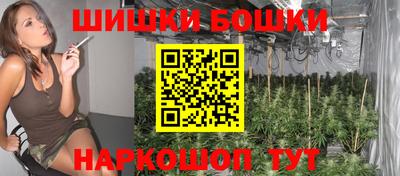 спиды Кингисепп