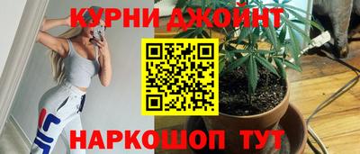 спиды Кингисепп