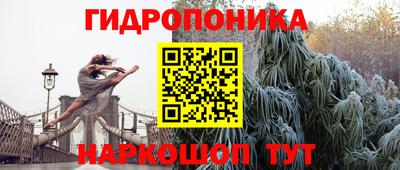 спиды Кингисепп