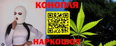 спиды Кингисепп