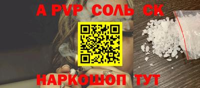 спиды Кингисепп