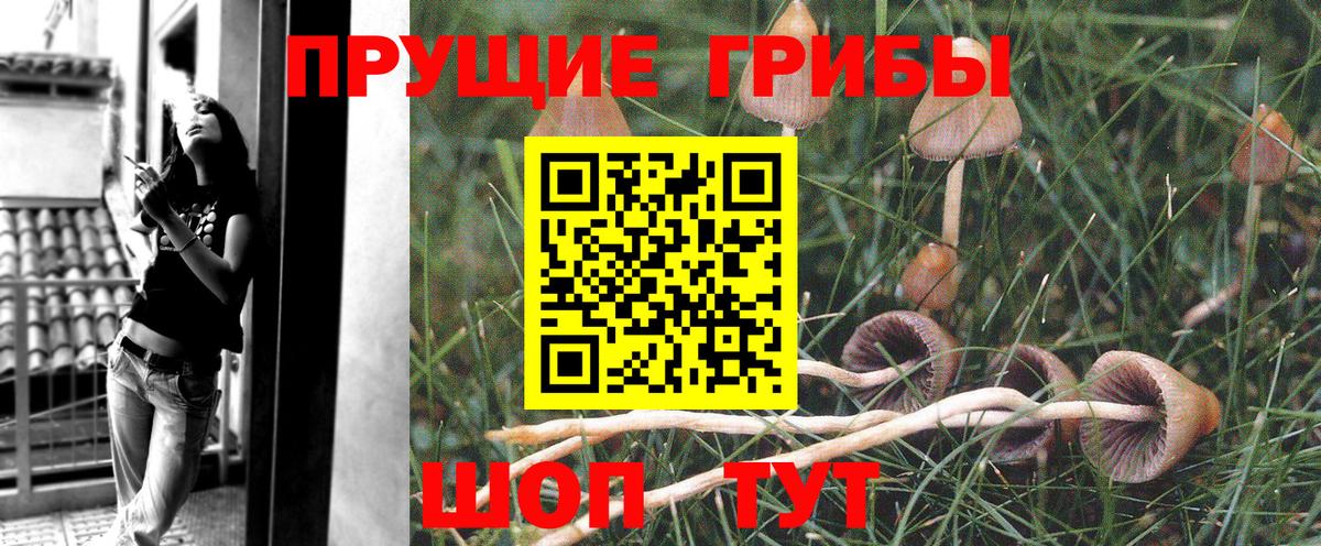 Галлюциногенные грибы ЛСД  Псилоцибиновые грибы мухоморы  купить наркотики сайты  Комсомольск-на-Амуре  Вход с VPN 